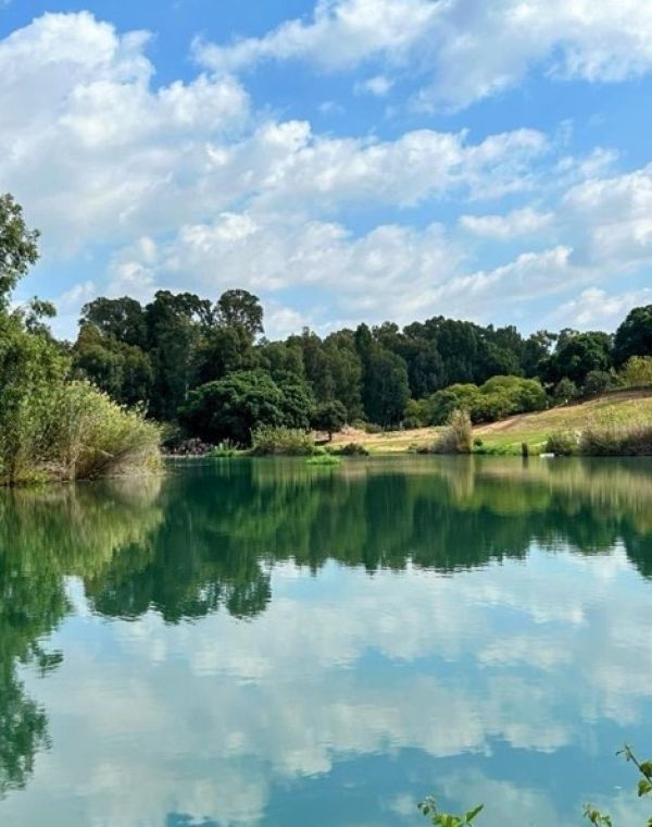 תמונה של תל אפק: המקום המושלם לפיקניק משפחתי - למטייל בישראל (טיולי)